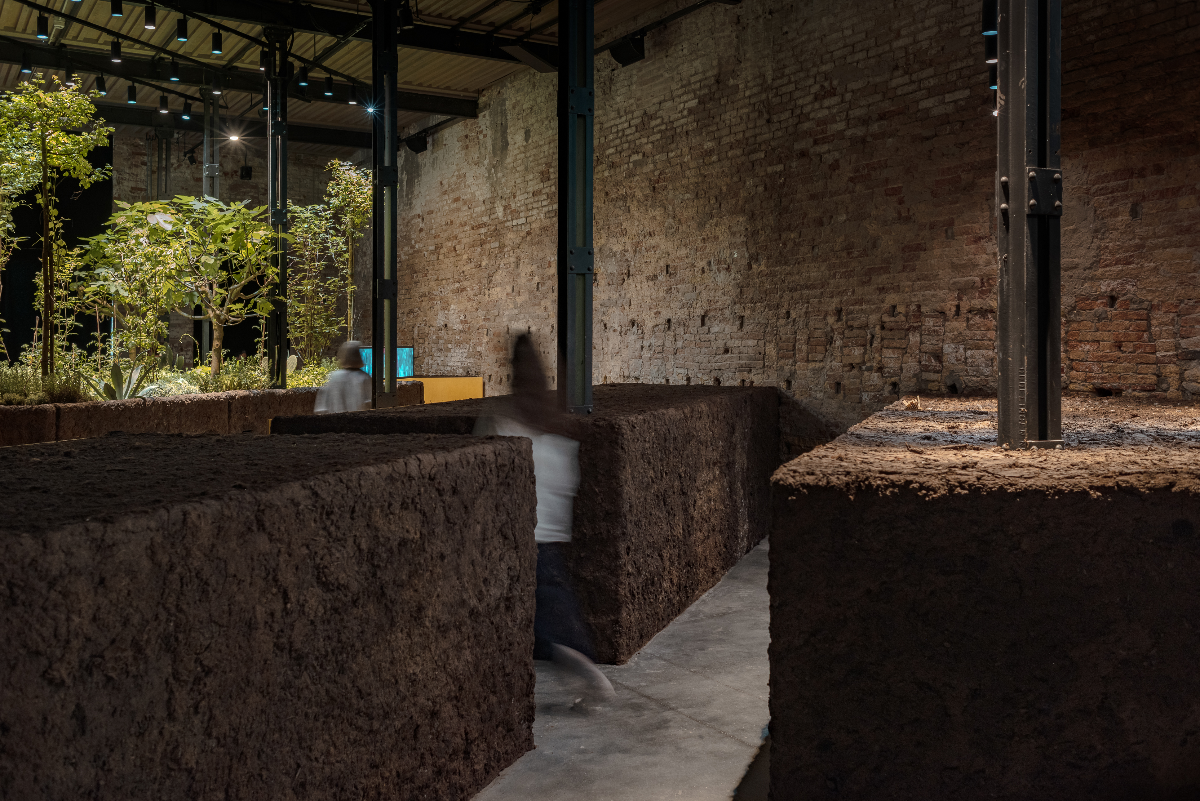 第 19 届威尼斯国际建筑双年展:墨西哥馆,探索古老农业系统的生态潜力-29