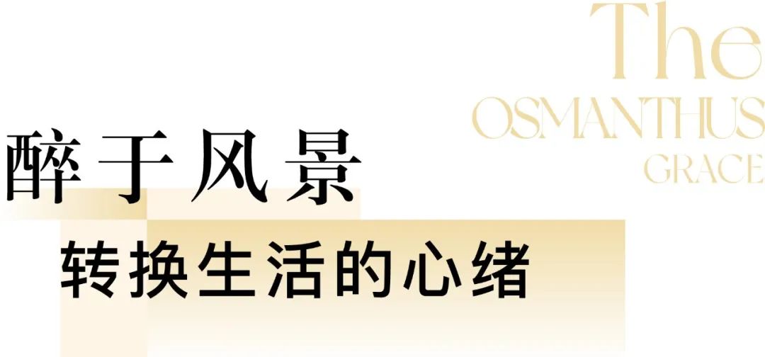 山澜桂语轩 | 漫步自然间，遇见每一个值得珍藏的时刻-15