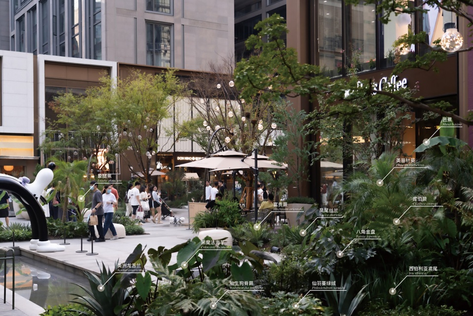 杭州亚奥万象天地景观提升丨中国杭州丨风物营造Landtek Group-69