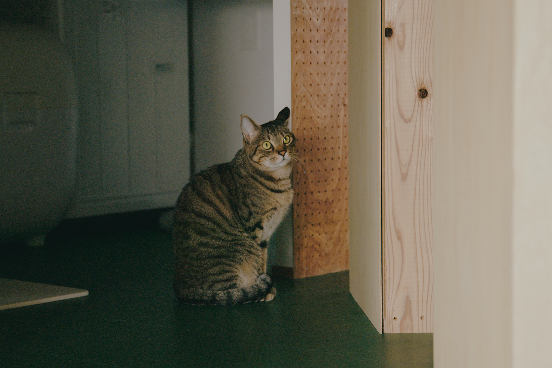 Uenogaoka的翻新丨MURO Hiroshi Atelier-17