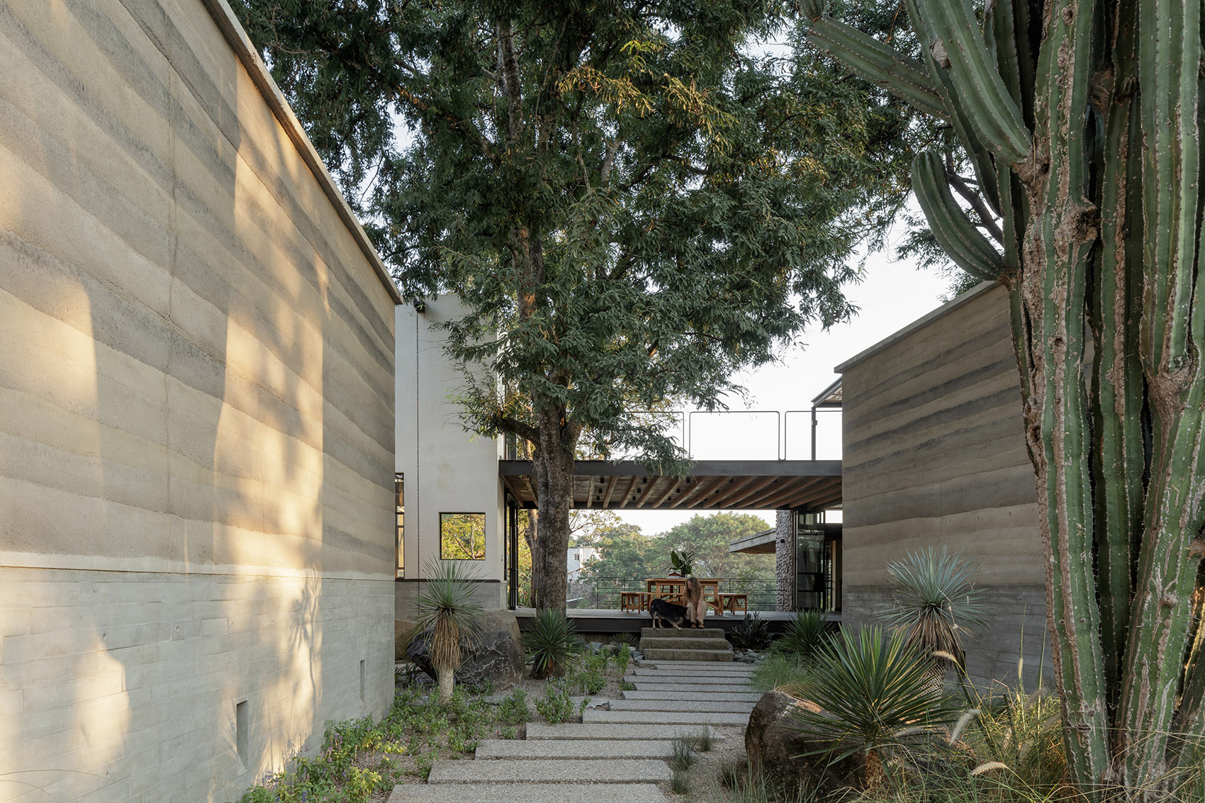 Espacio KAAB住宅丨墨西哥丨Di Frenna Arquitectos-104