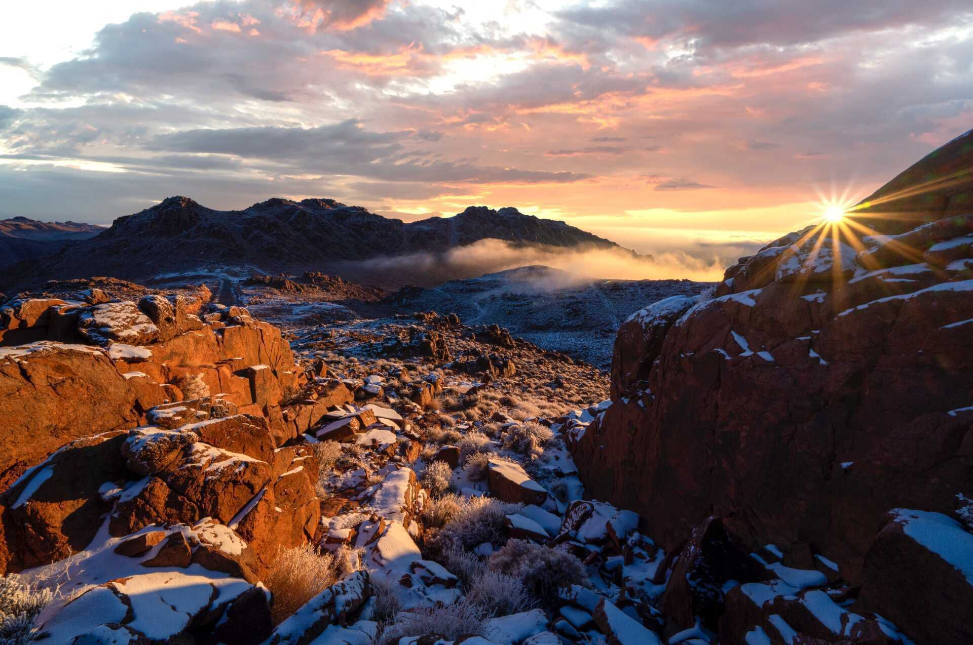 TROJENA全新高峰体验胜地丨沙特阿拉伯-65