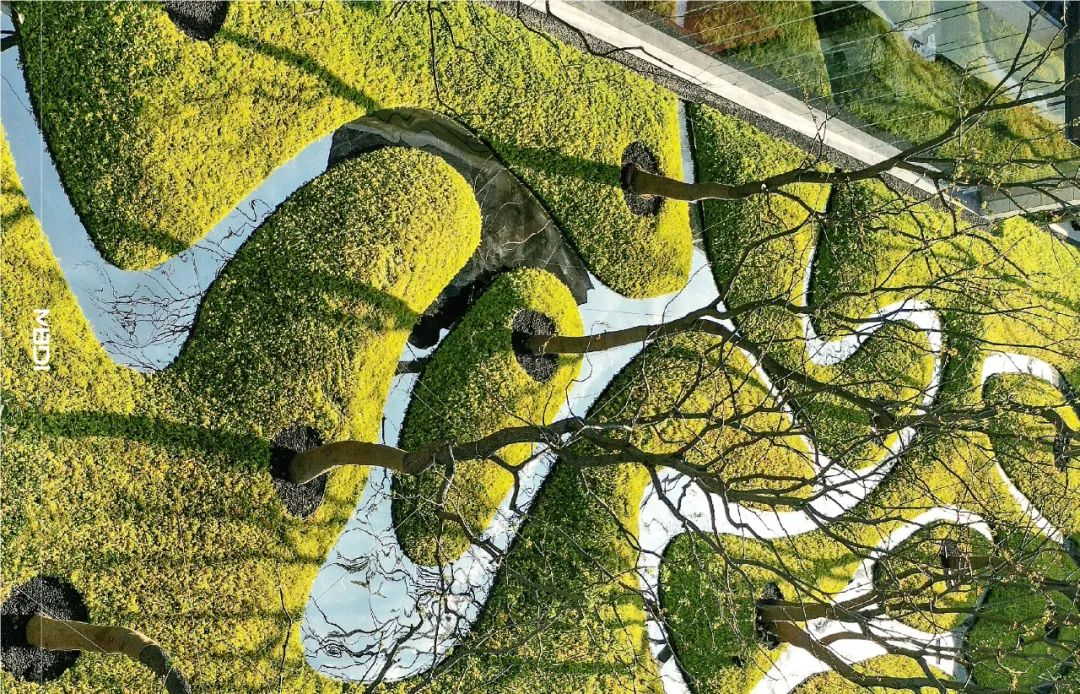 “城市山林” | 苏州·正荣春栖和庭-27