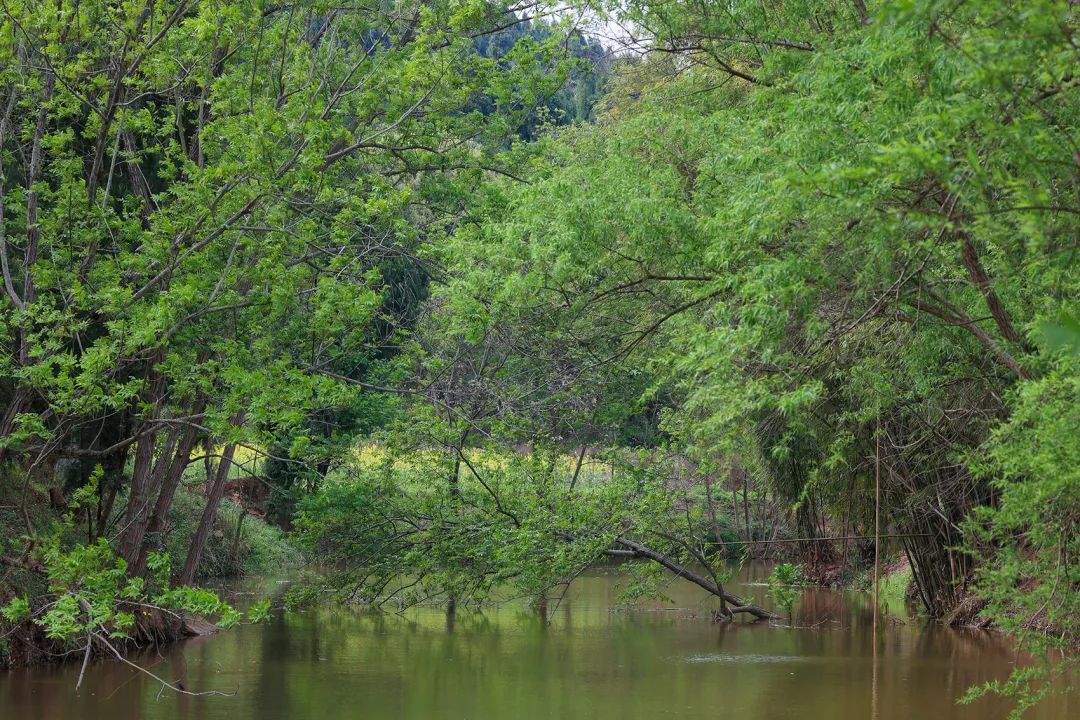 二次激活下的乡村活力复苏·德阳高槐村乡村振兴丨中国德阳丨环球地景设计有限公司-42