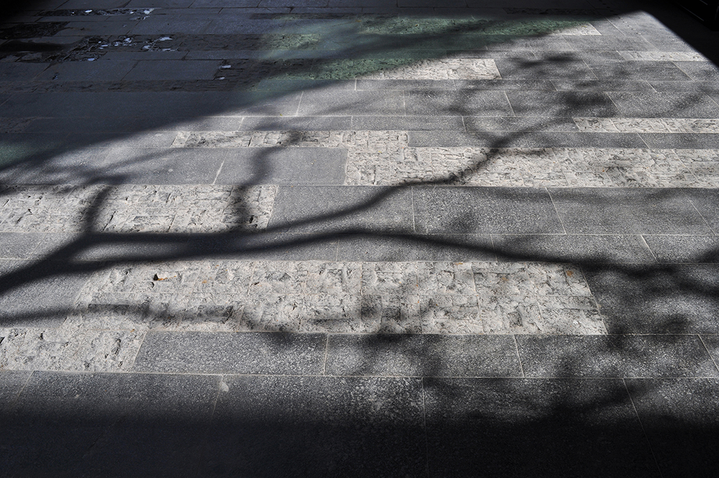 Coyoacán公司校园-31