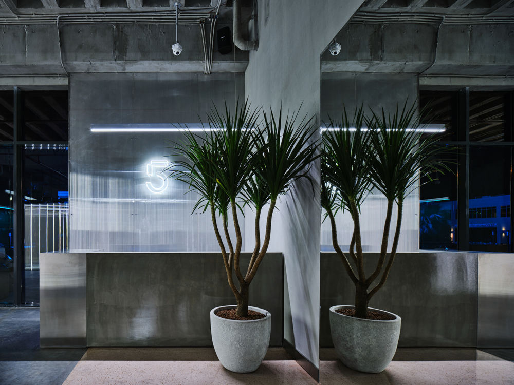 科威特 Five's 旗舰店丨DBO Studio-23