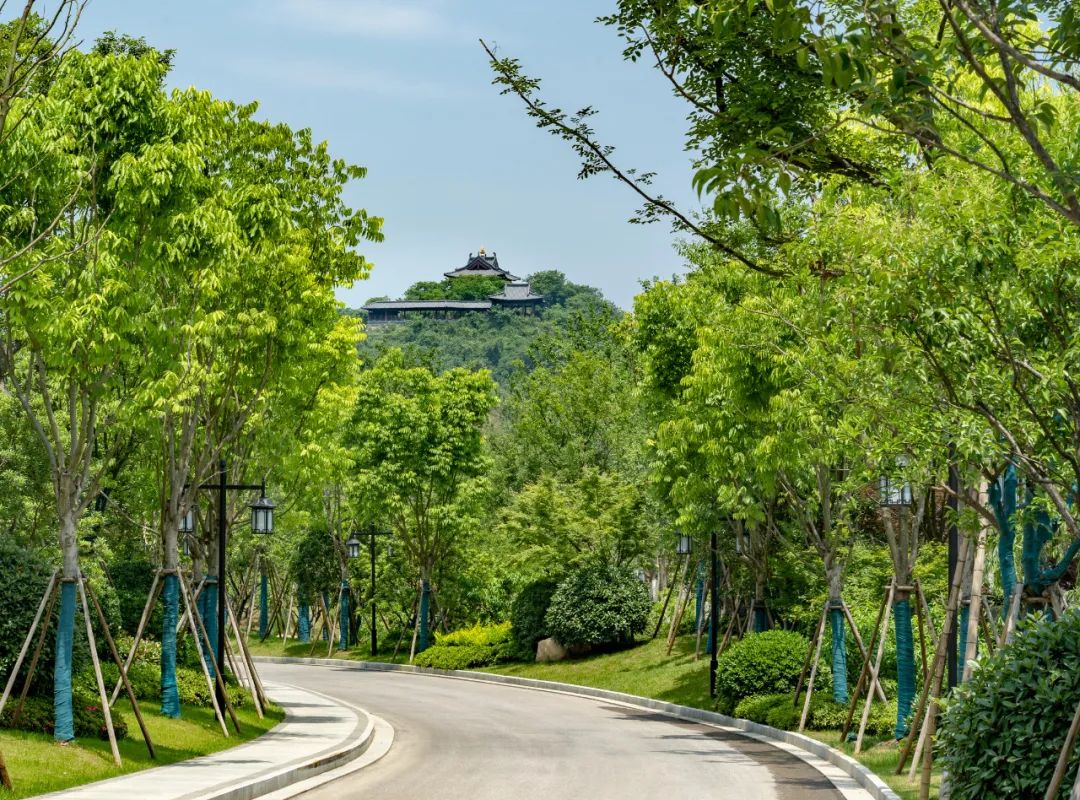 宜兴·雅达阳羡溪山民国风多层公寓进云组团丨大象设计集团有限公司,浙江蓝颂园林景观设计集团有限公司-7