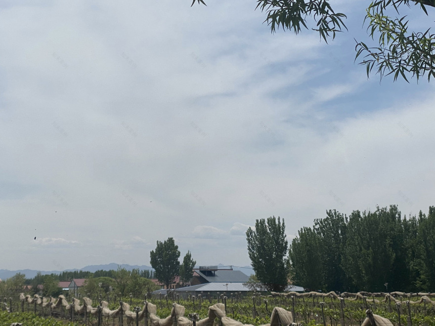 板泉之野民宿与营地丨中国北京丨大料建筑-39