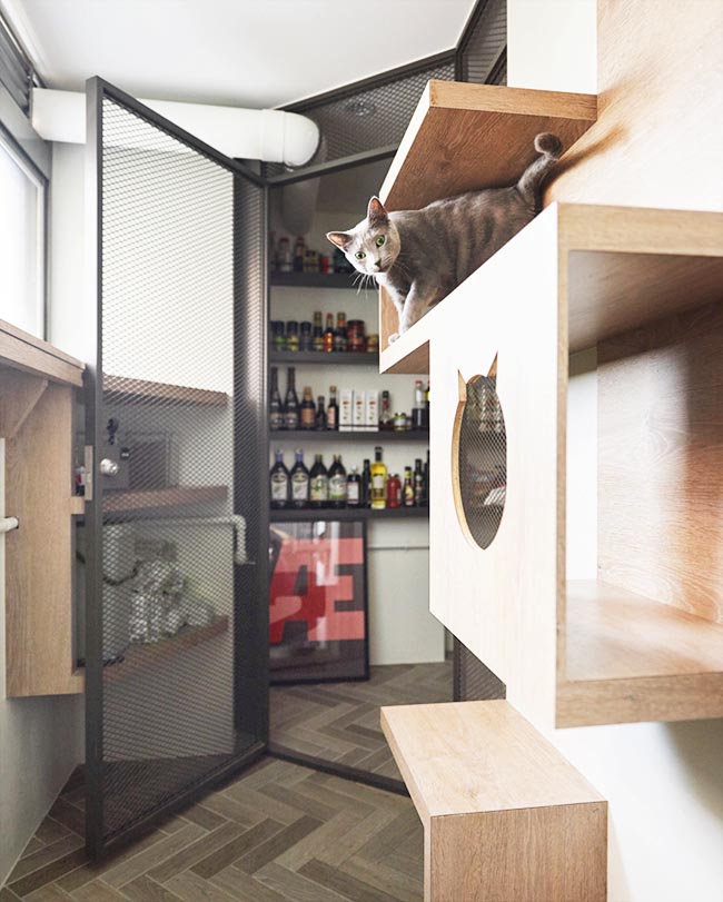 宠物宅设计！专为毛小孩规划-14