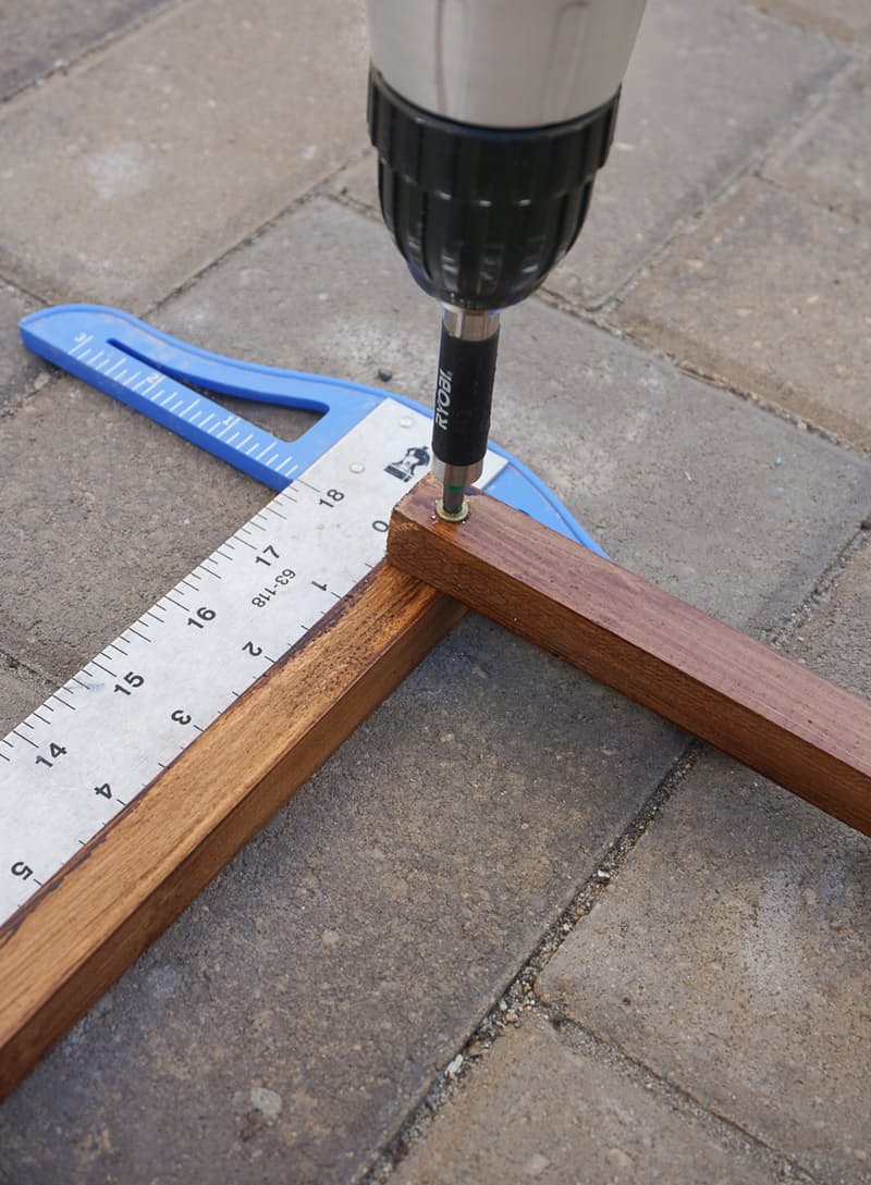 自家花园设计丨埃琳和肯-5