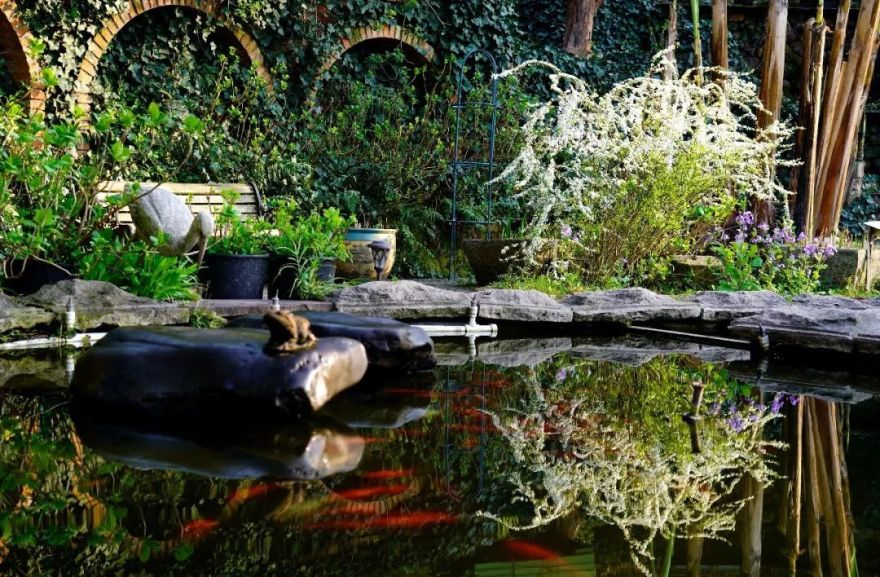 三棵树庄园 | 摄影家的心灵秘境-43