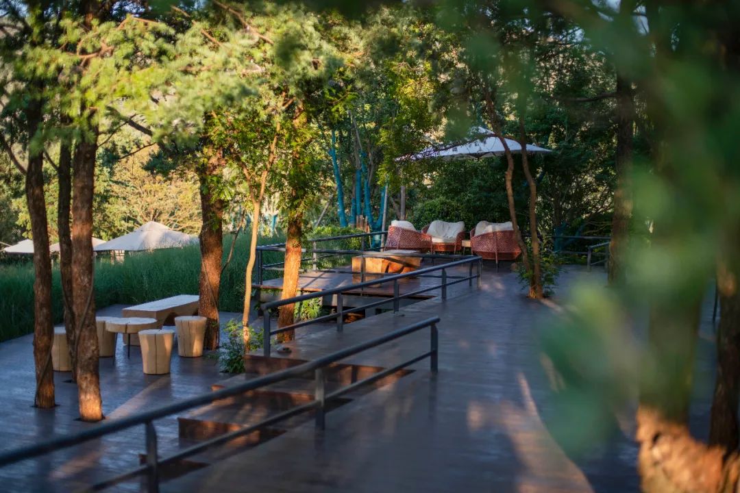 自然共生,心灵栖息的汉华天马山温泉酒店-105