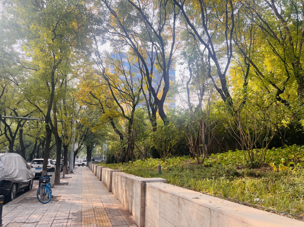 南馆公园及周边改造提升项目丨中国北京丨北林地景-16