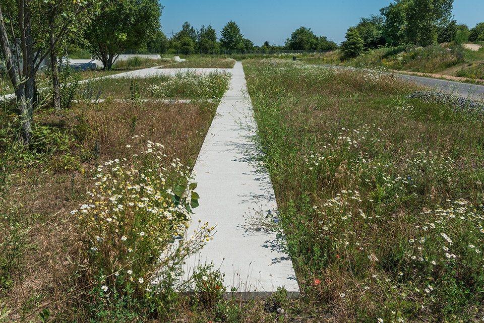 后工业时代的自然整改·德国Vorderpfalz地区27公顷公园丨德国景观事务所A24 Landschaft-15