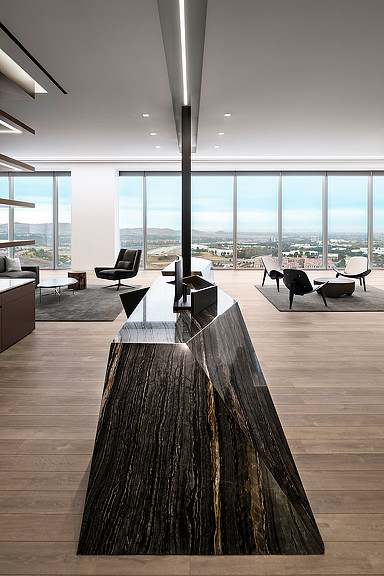 精致细节打造酒店式投资公司总部-4