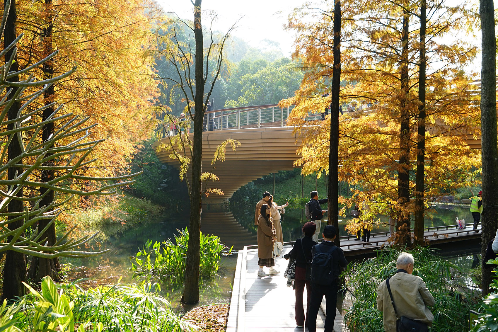 广州云溪植物园环境提升工程整体景观设计丨中国广州丨AECOM,广州园林建筑规划设计研究总院等-144