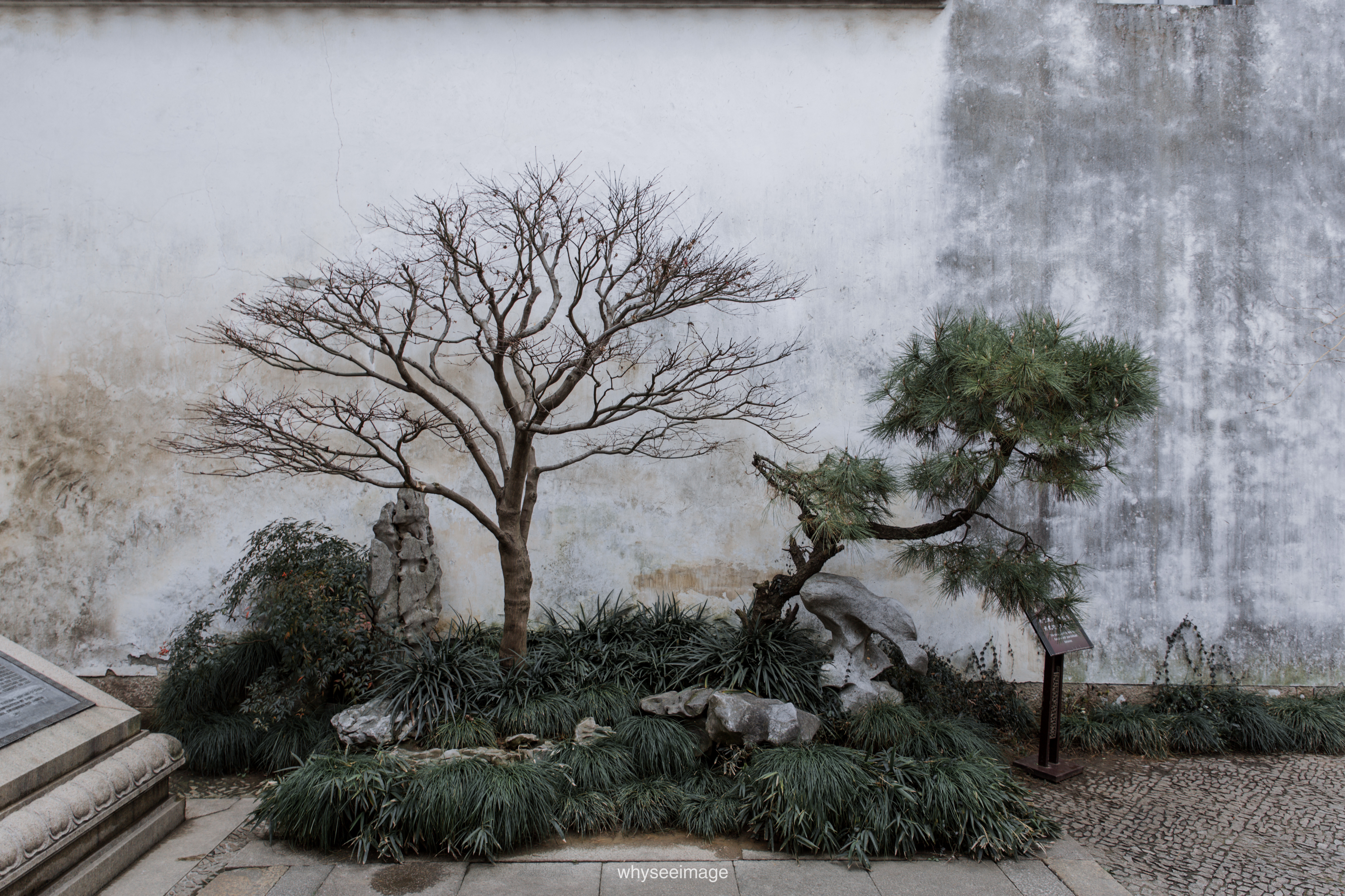 艺圃 Garden of Cultivation丨中国苏州丨whyseeimage-14
