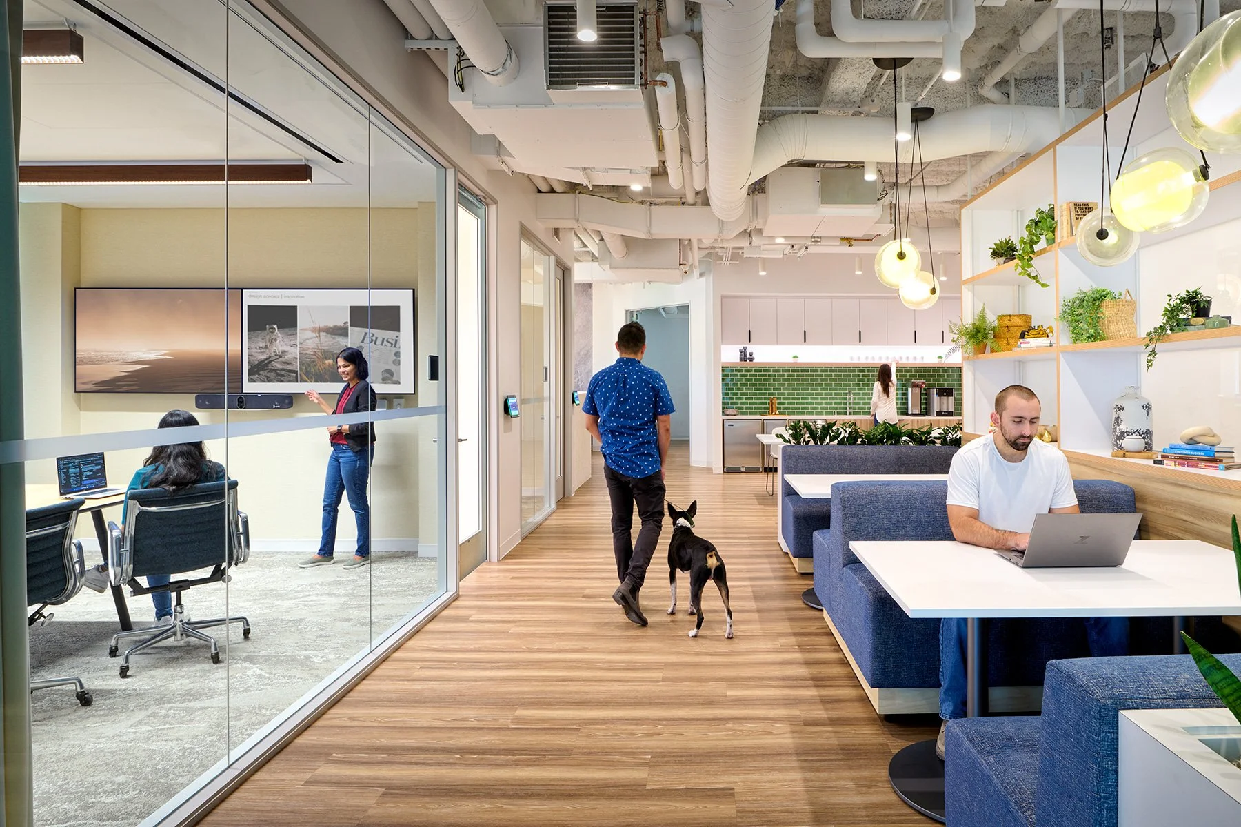 AP+I Design — HP-Poly Scotts Valley Office Interior Design | Coastal-Inspired Architecture by AP+I Design -1