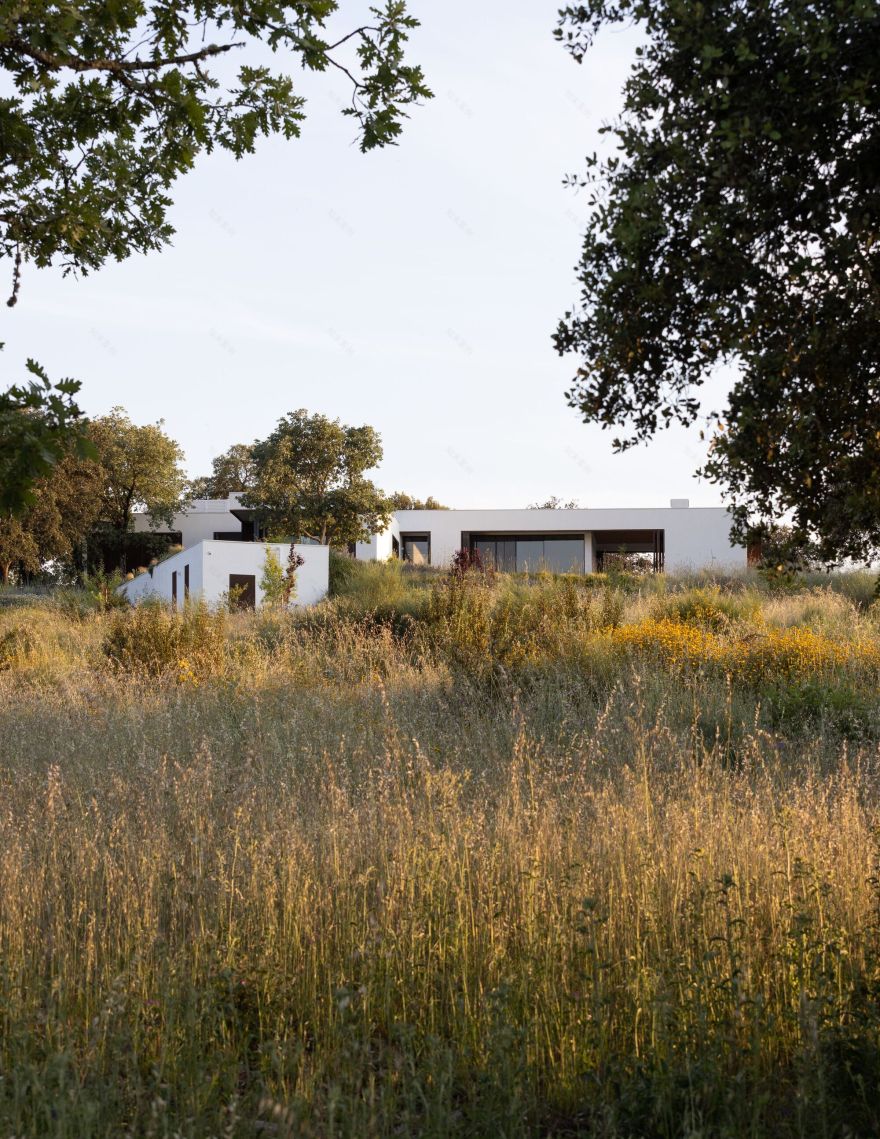 克拉托的房子丨葡萄牙丨Inês Brandão Arquitectura-61