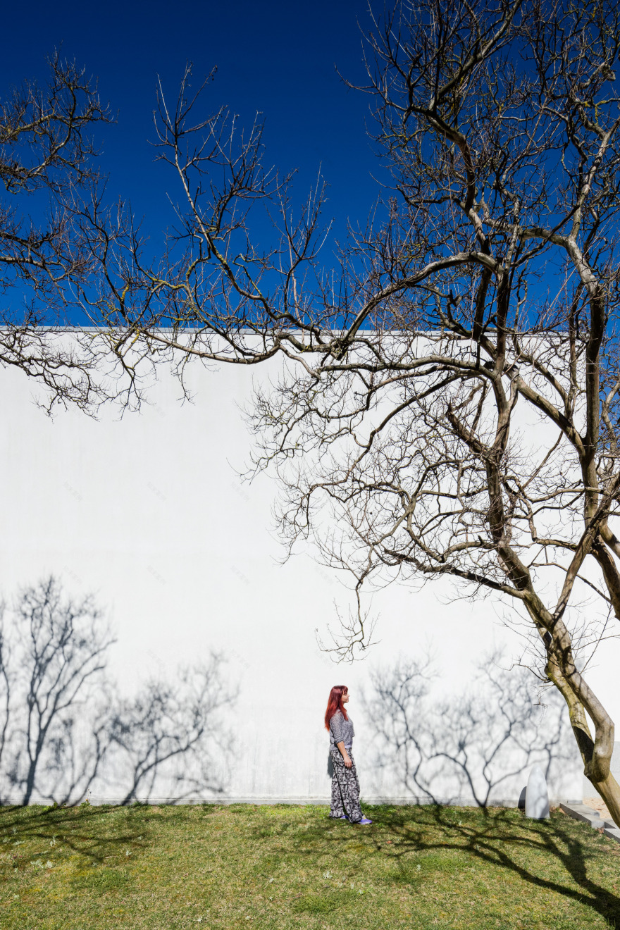 Manuel Cargaleiro 艺术办公室-25