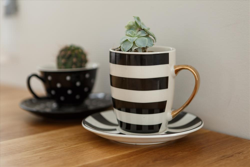 רויטל ארז · 3居室公寓家居造型设计（佐尔以撒）丨以色列丨רויטל ארז室内设计与家居造型工作室-21