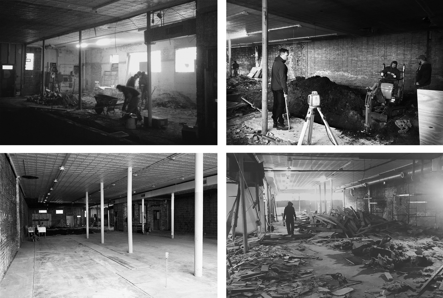 芝加哥 Logan 认证苔藓设计项目 - 绿色环保，功能性与美学兼具-50