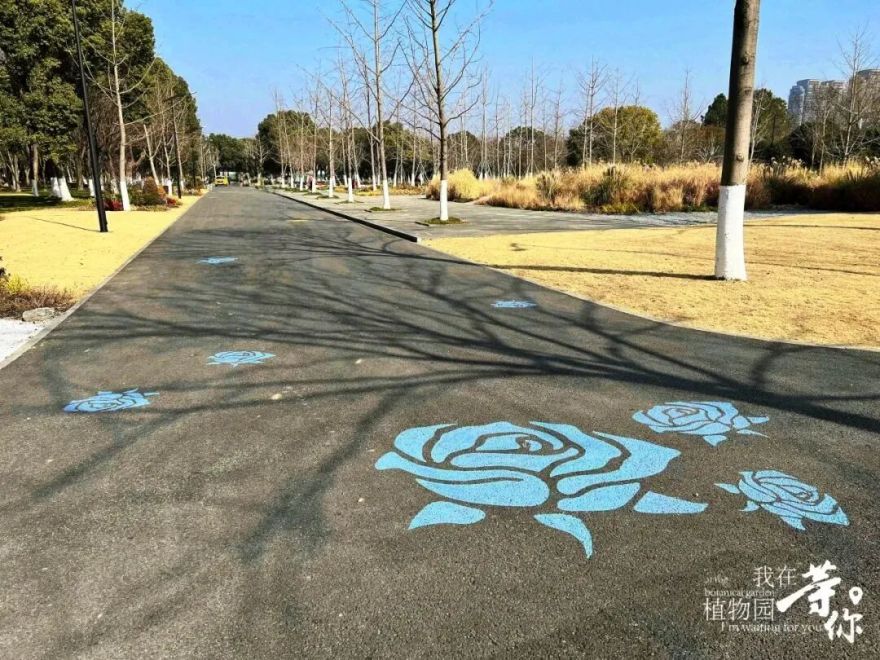 助力长三角生态绿色一体化发展|华建集团现代院原创设计嘉兴中央公园(嘉兴植物园)改造提升项目-22