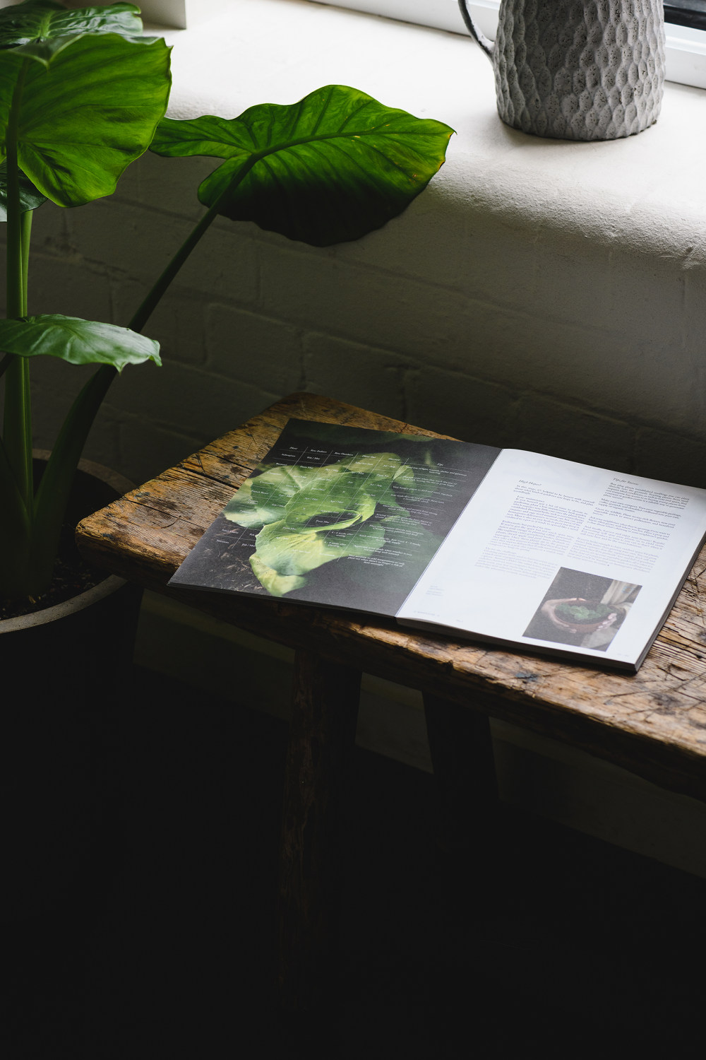 The Modern House Magazine 第一期-15