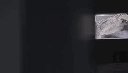 石头兄弟联创设计|天鹅飞过的地方,惊艳了时光。-28