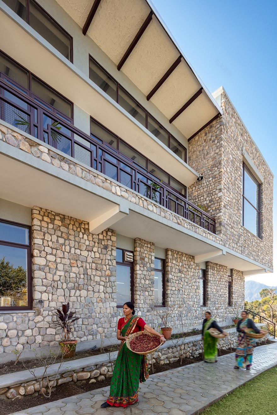 印度 Lodsi 社区项目丨Morphogenesis-15