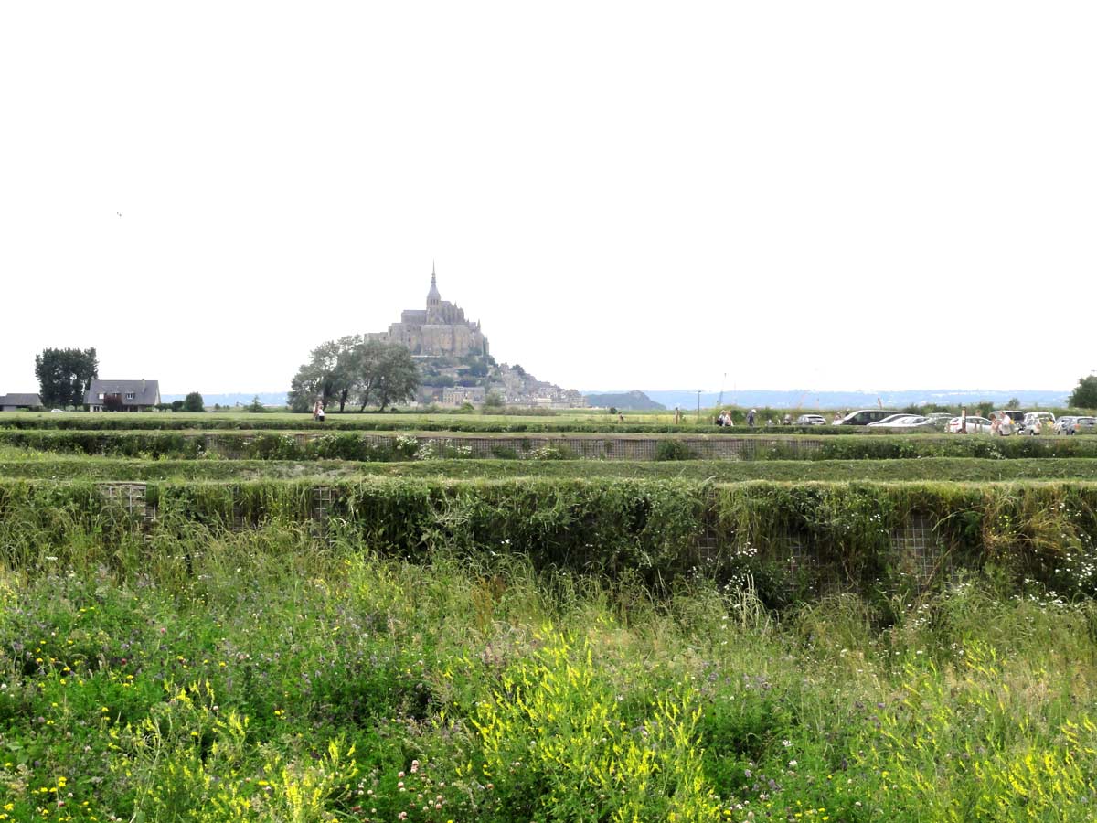 融合自然的 Mont·St·Michel 海上风貌恢复项目-6