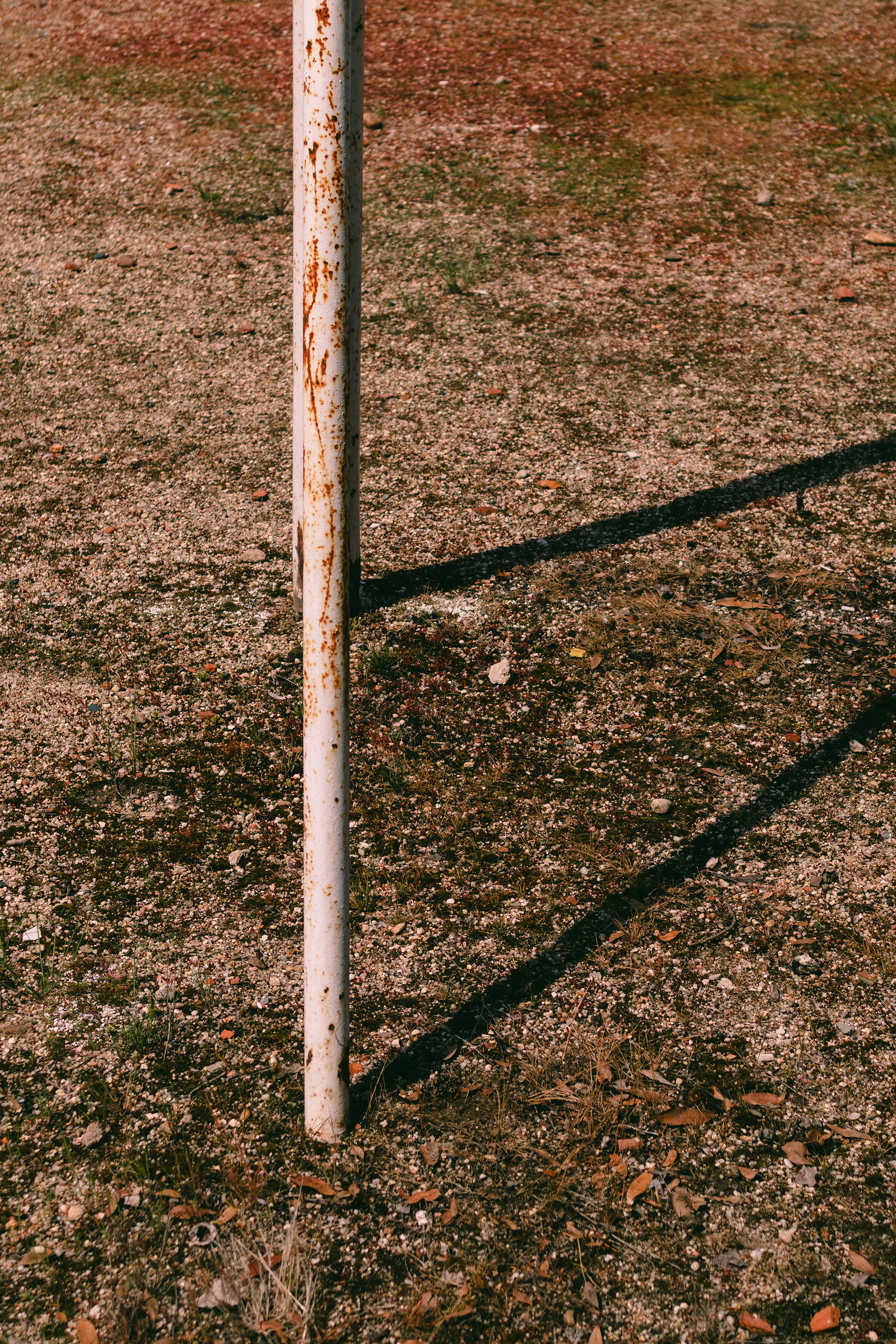 Hey, Go Out To The Schoolyard And Take a Break-4