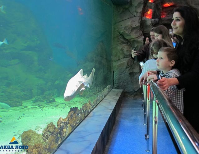 ТРЦ РИО海洋馆丨俄罗斯莫斯科丨Аква Лого инжиниринг-52