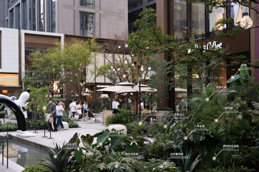 亚奥万象天地丨中国杭州丨风物营造Landtek Group-32