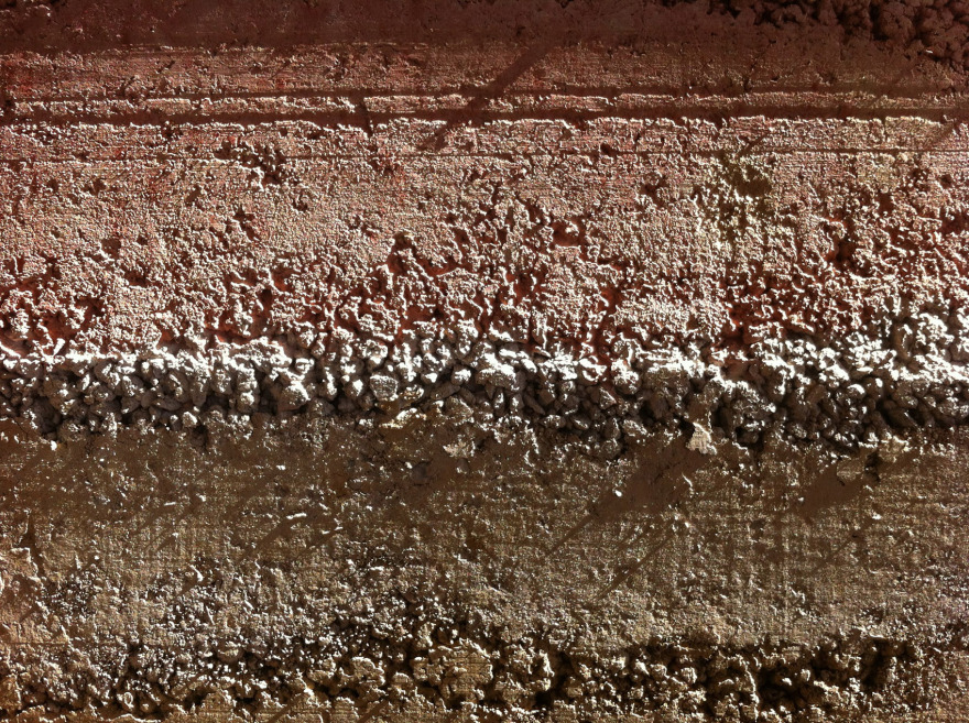 林建筑-与自然树木的共舞 / 迹·建筑事务所(华黎)-200