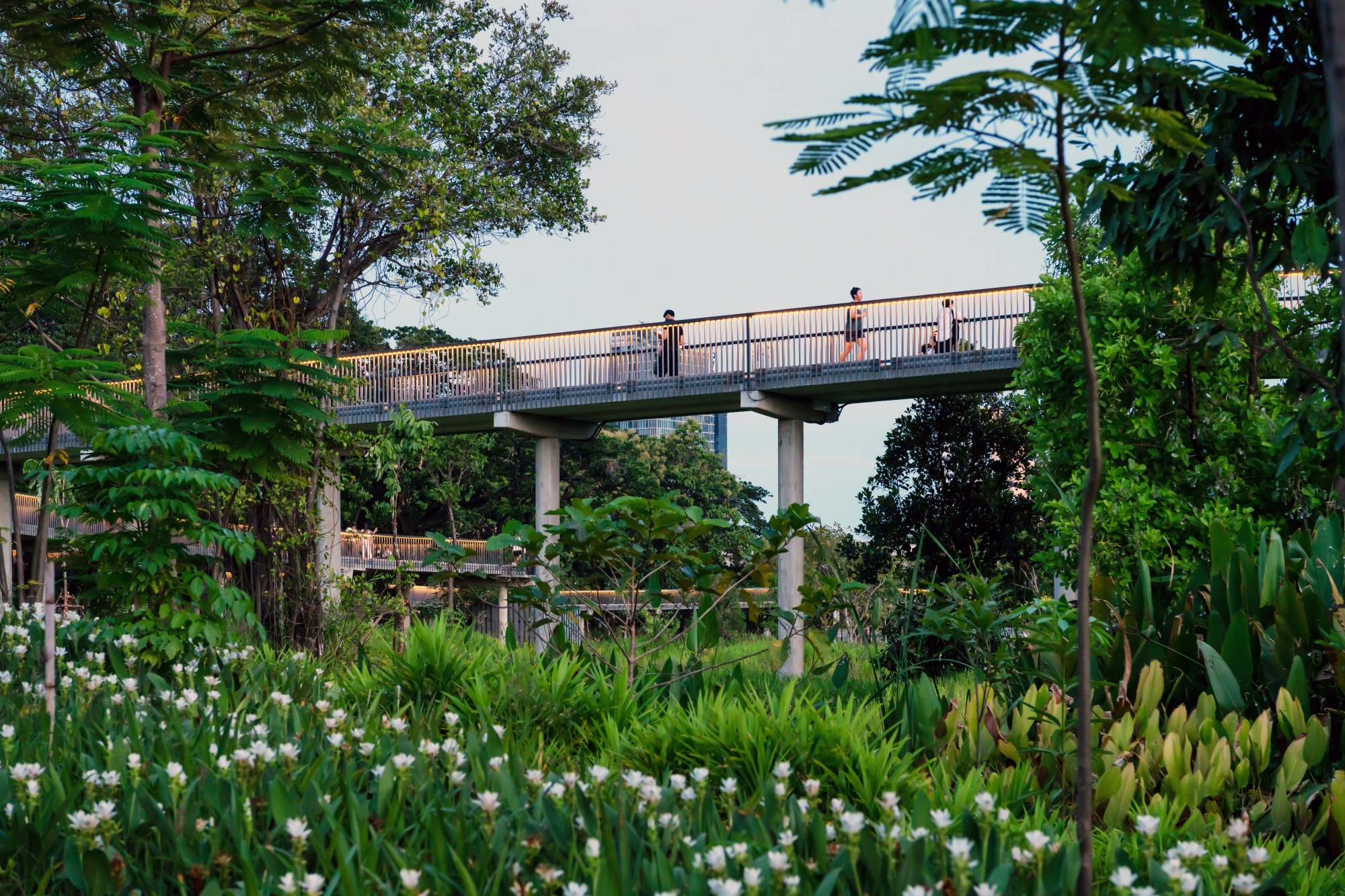 西安雁南公园（二期）丨中国西安丨土人设计（Turenscape）-77