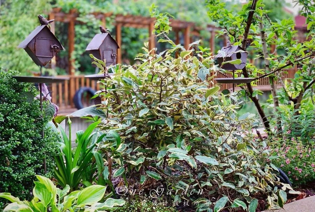 情感延续的富力湾花园 | 承载回忆的 420㎡自然空间-66