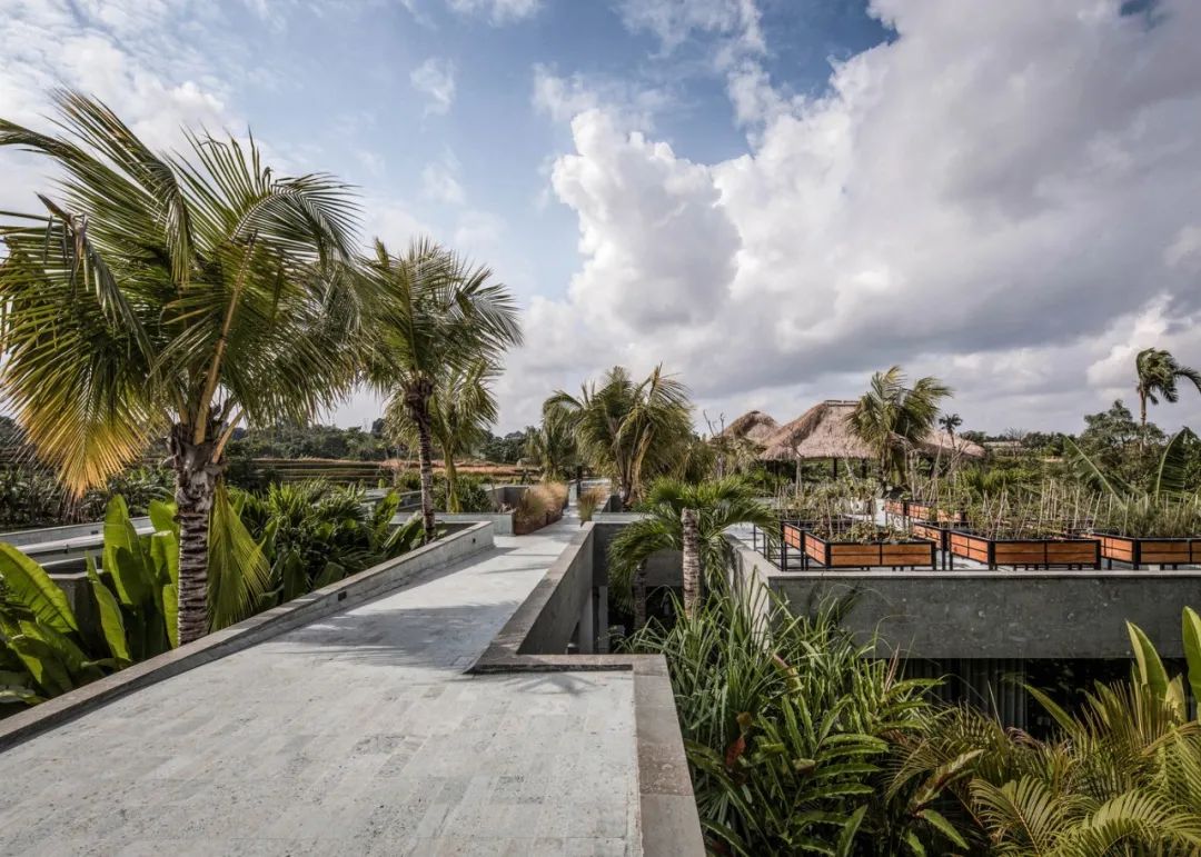 717 m²巴厘岛平房民宿-19