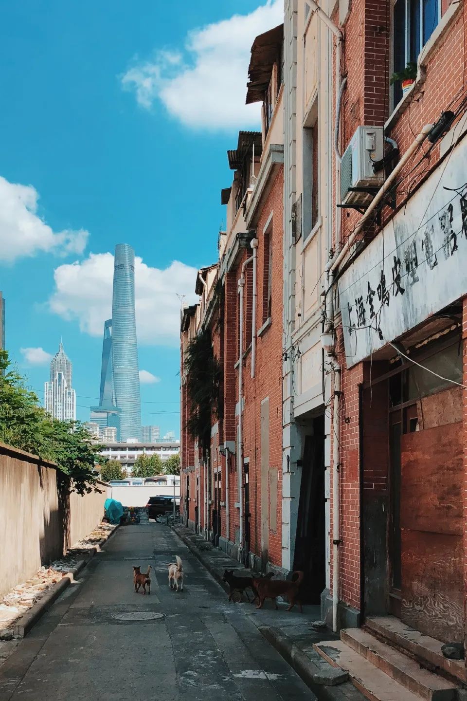 城市切片 · 建筑师王俊锋的手机影像城市观察丨中国北京-21