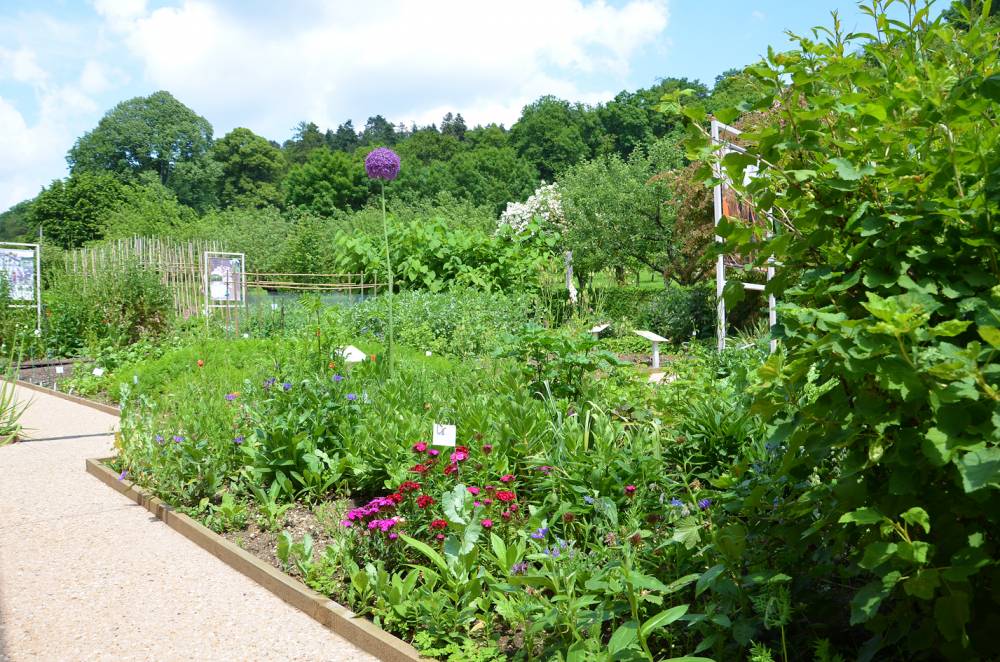 Revermont菜园和果园博物馆丨法国-6