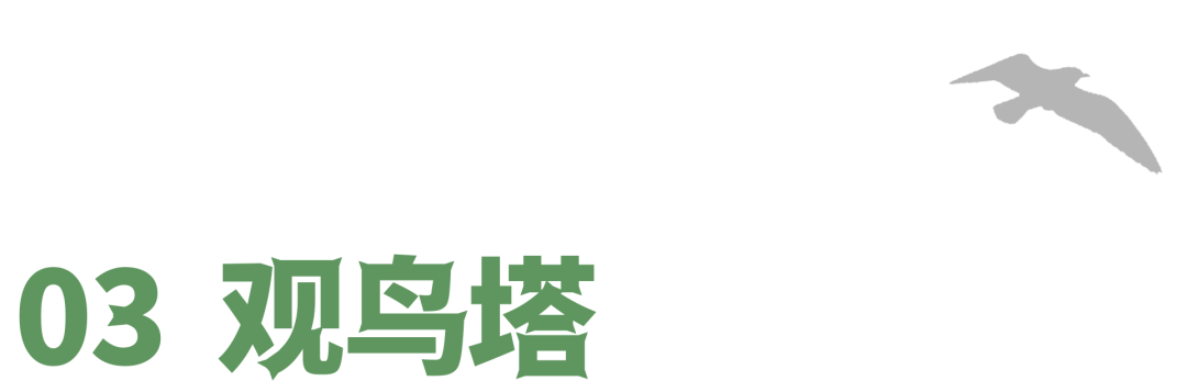 南沙湿地观鸟艺术竹构丨中国广州丨竖梁社,华南理工大学建筑学院-58