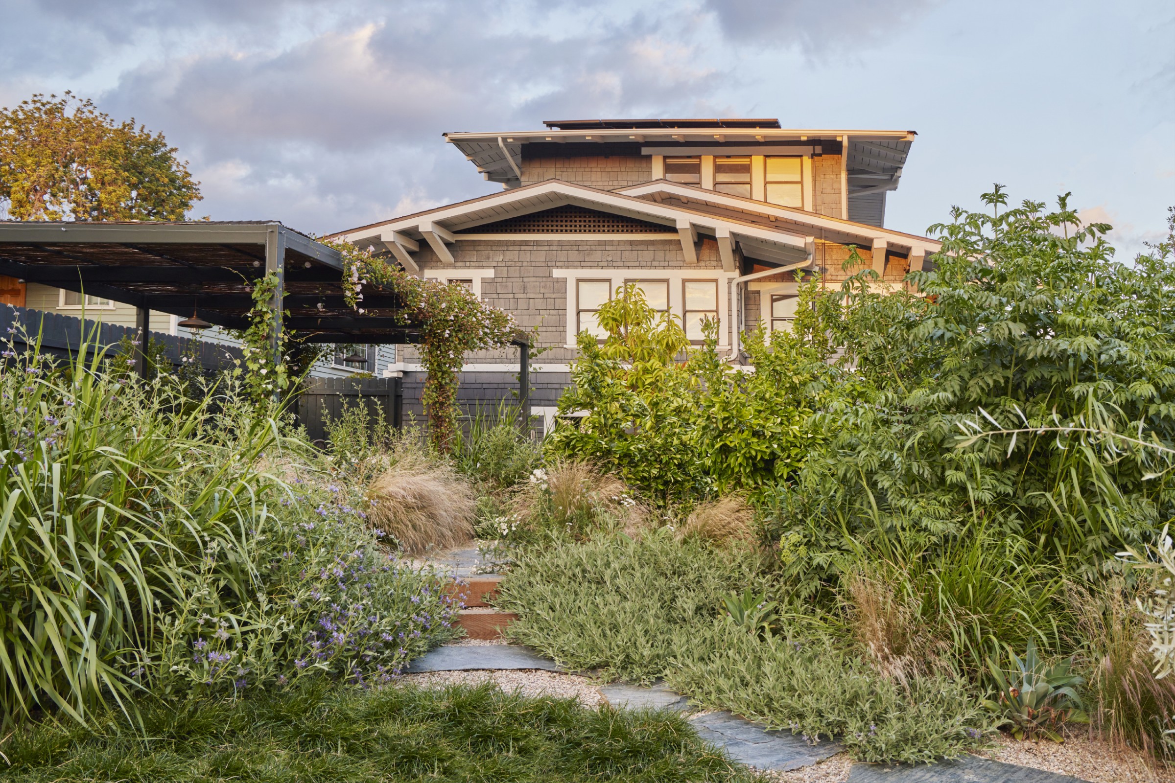 用时间酝酿，为孩子们创造的野趣花园丨美国丨TERREMOTO-7