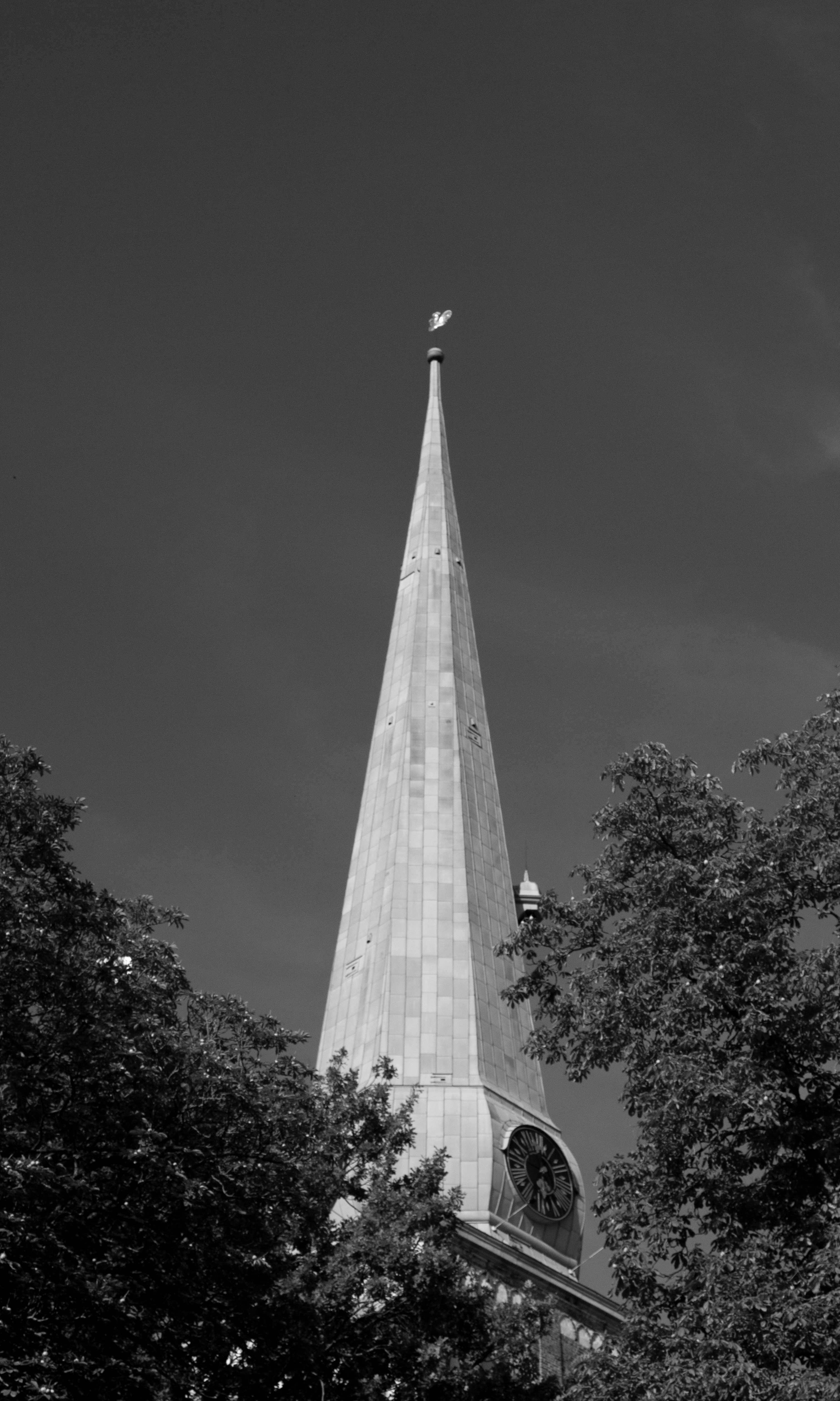 丨拉脱维亚里加-8