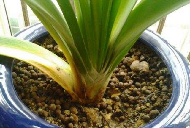 极简轻奢,重构生活美学丨星艺装饰广州总部-10