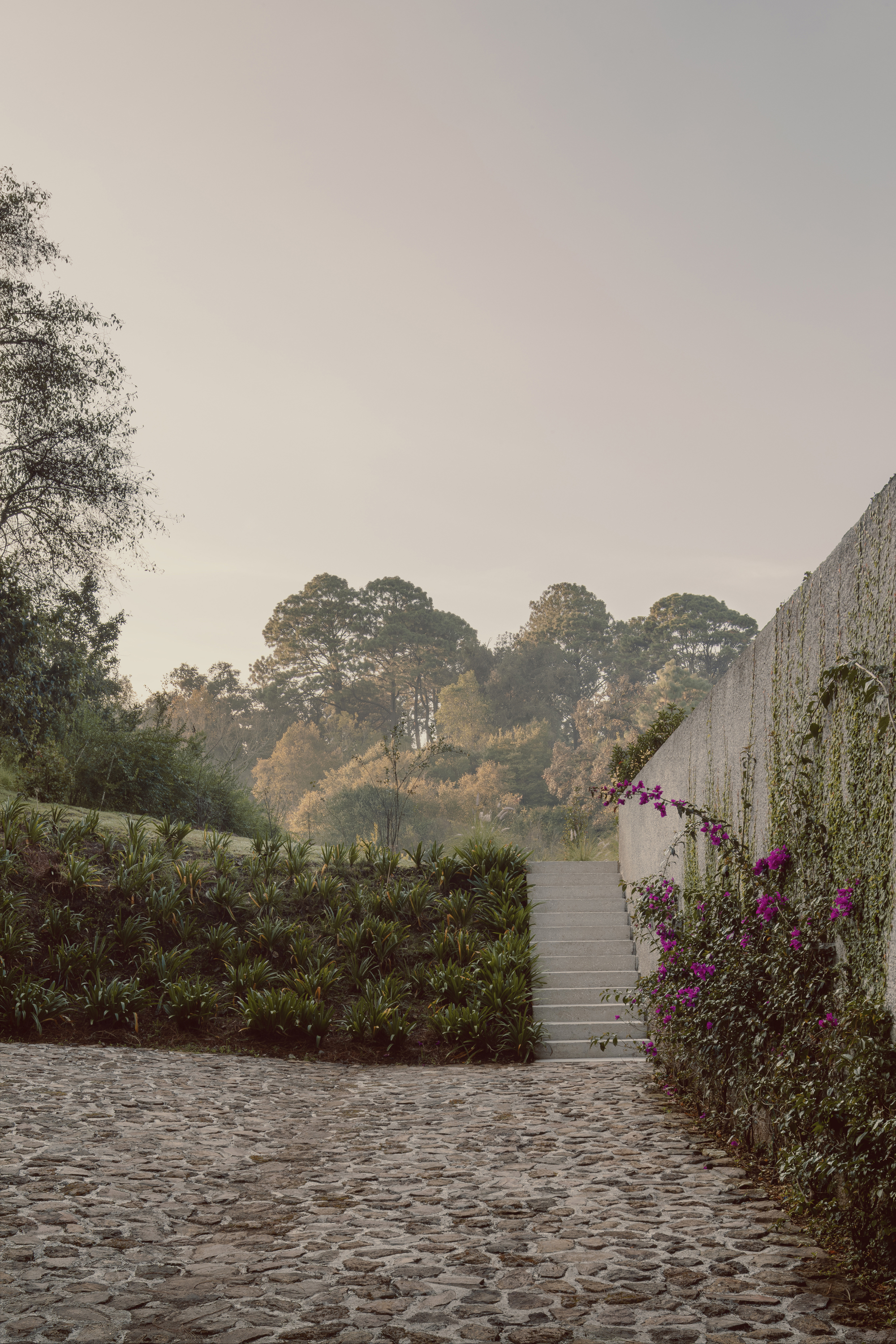 丨墨西哥丨Sebastián Mancera + Taller 3000-35