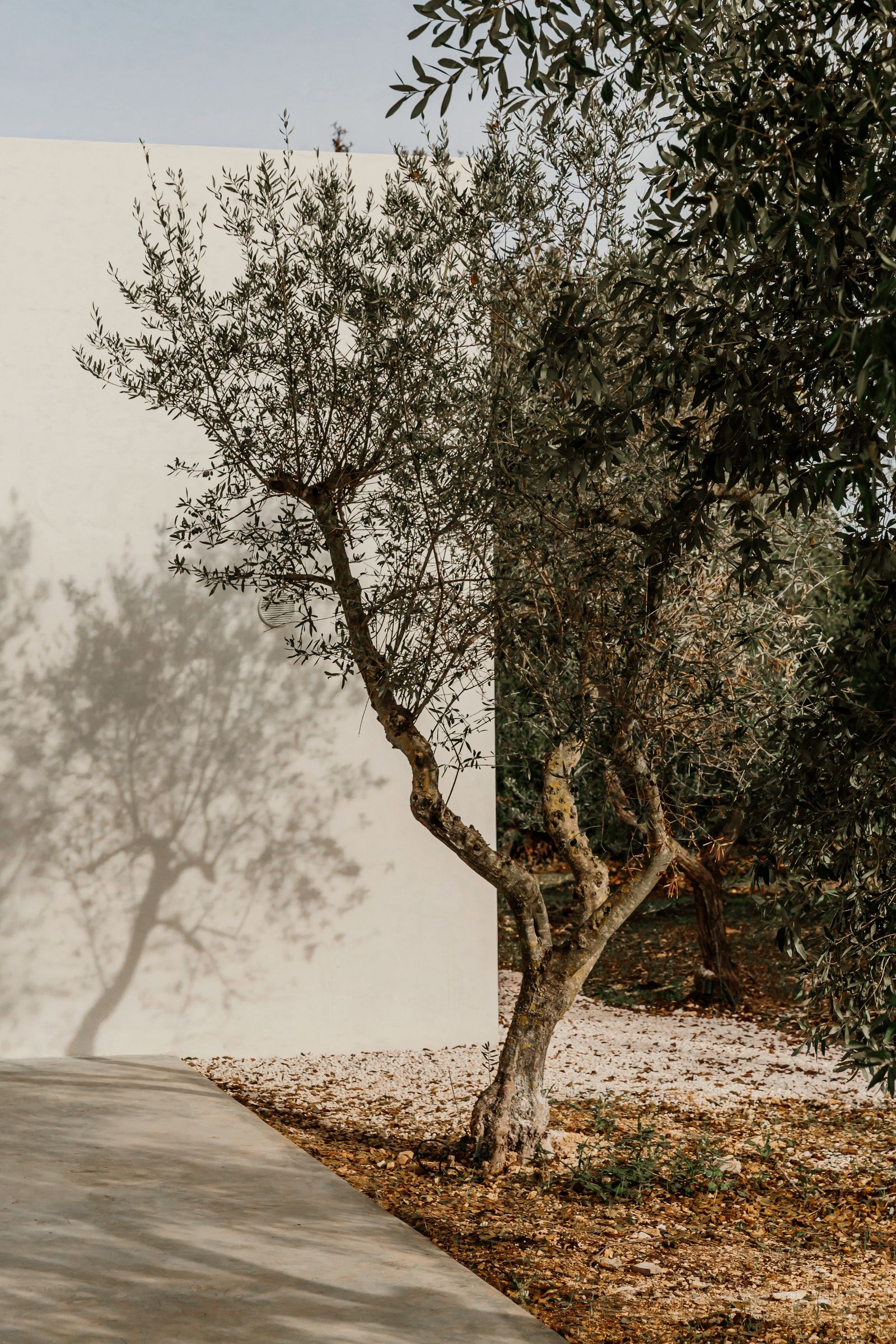 丨意大利丨Andrea Vergati及其创意工作室-57