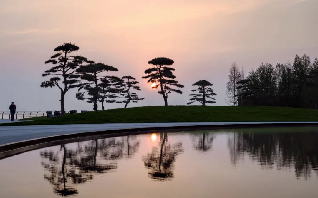 松林浪屿，海岸逐光丨青岛 · 云上观海-118