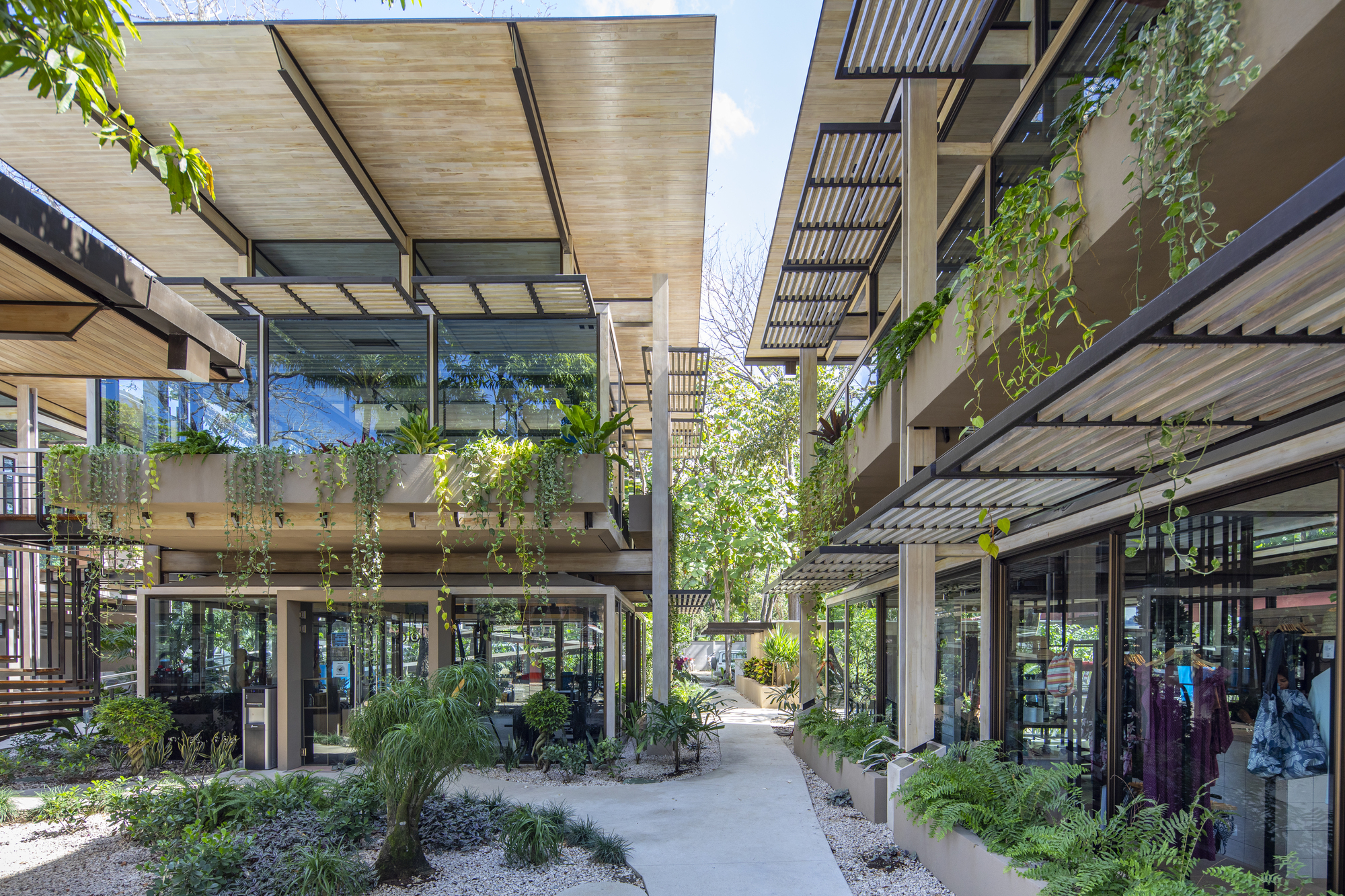 Costa Rica Athletic Center / Studio Saxe-37