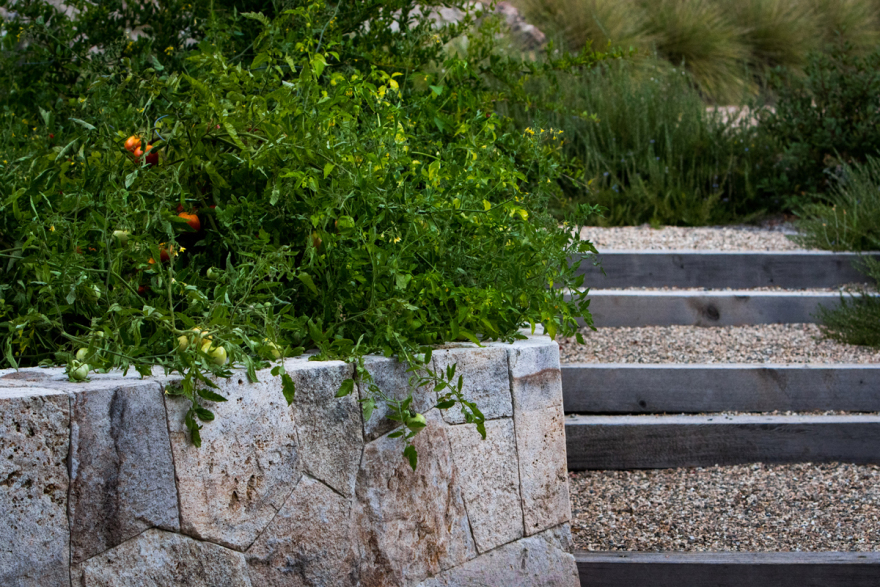 加州索诺马,现代经典庄园 / Lucas & Lucas-18