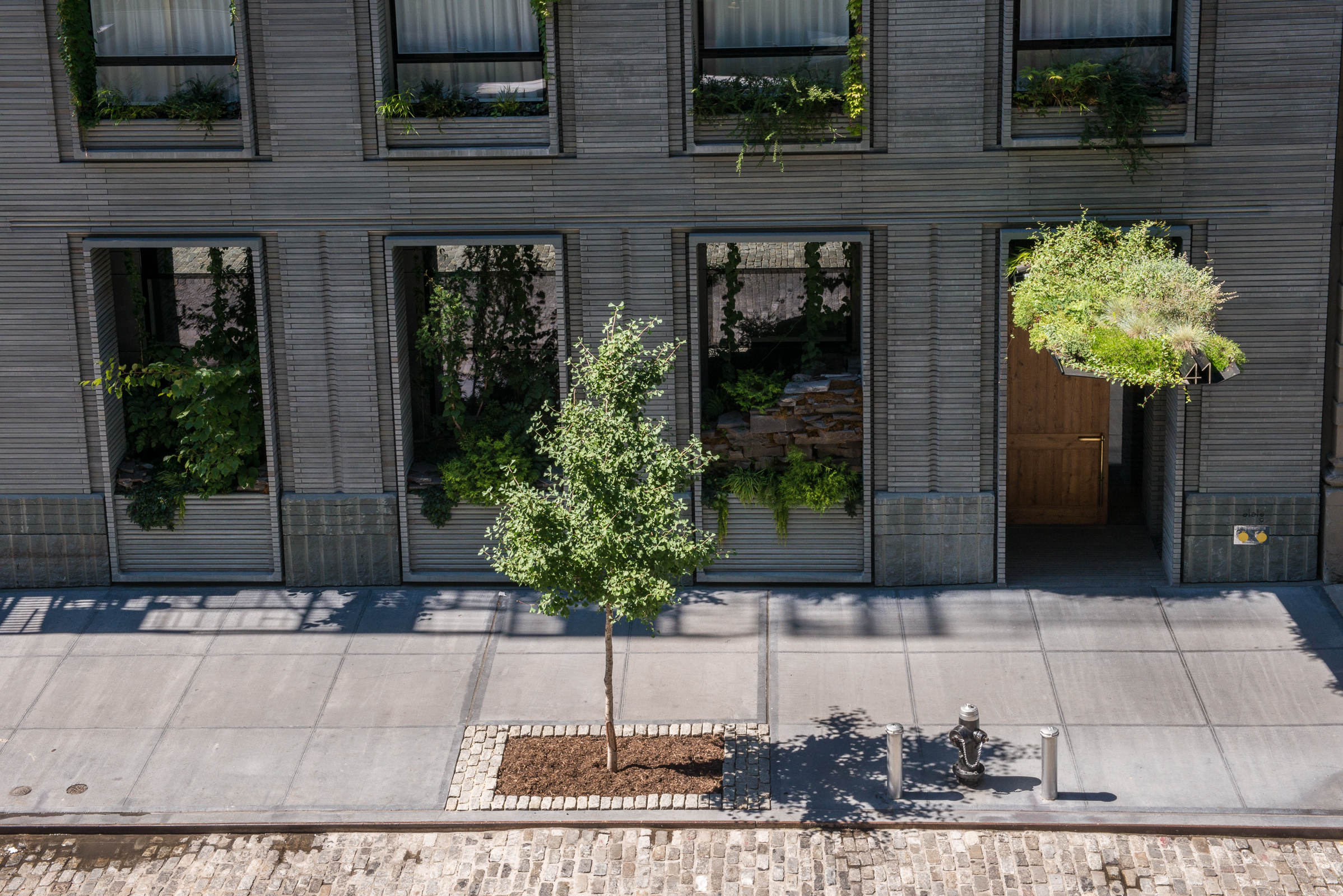 41 Bond | Future Green Studio-8